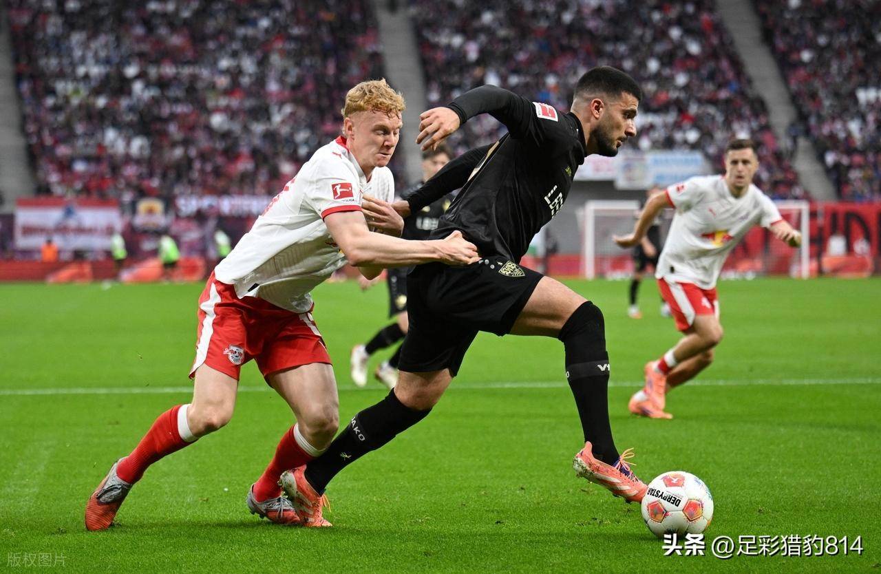 leyu-斯图加特对霍芬海姆